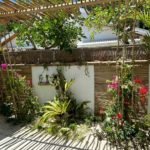 garden with orchids and tropical flowers