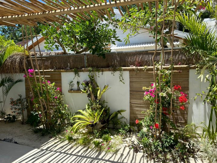 garden with orchids and tropical flowers