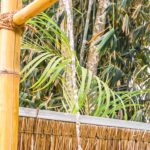 bamboo outdoor shower in pool area