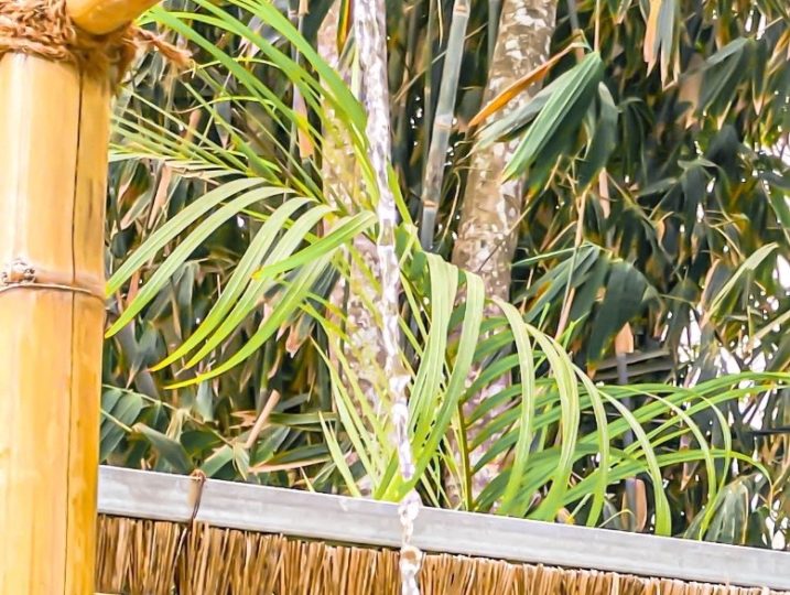 bamboo outdoor shower in pool area